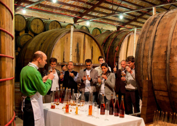 Degustação de vinhos: o que fazer e o que não fazer