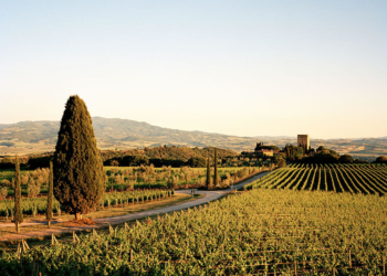 Conheça as curiosidades de Montalcino e arredores