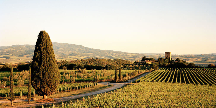 Conheça as curiosidades de Montalcino e arredores
