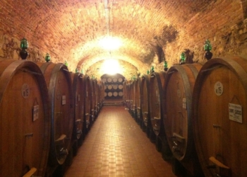 A vinícola Vignamaggio de Da Vinci e Monalisa