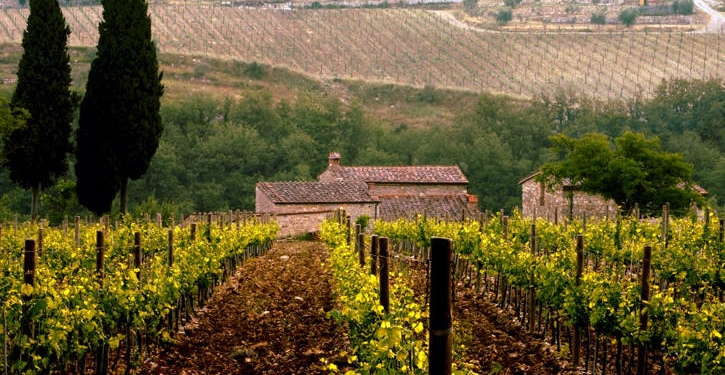 A CURIOSA HISTÓRIA DO GALLO NERO
