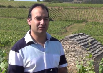 Jean Claude Cara direto da Bourgogne