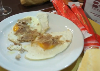 Das Trufas brancas as ruínas de  Alba