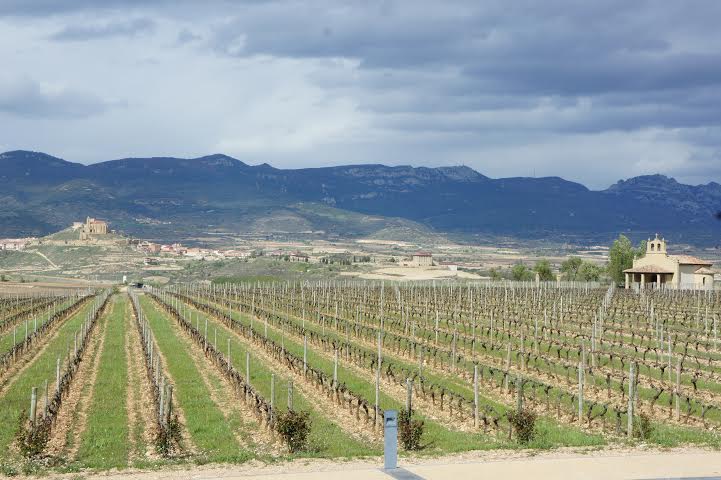 Rioja, na Espanha, candidata a patrimônio mundial da humanidade.