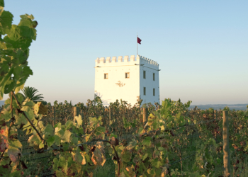 O que há por trás do Monte Velho