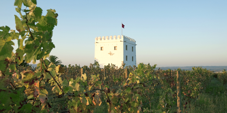 O que há por trás do Monte Velho