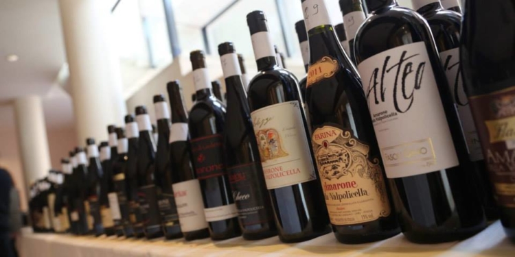 Anteprima Amarone 2011: uma safra de luz