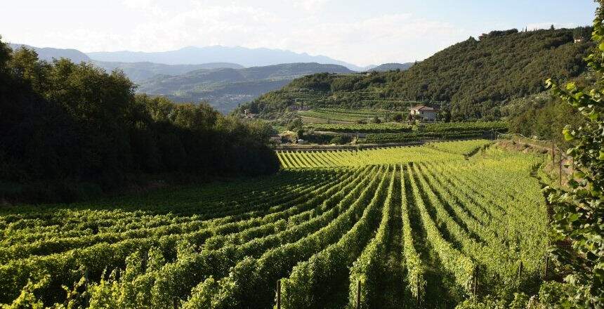 Valpolicella, zona vinícola de Verona.