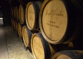 Dez dias na França – Parte II – Borgonha