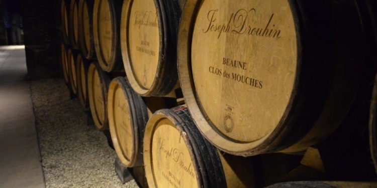 Dez dias na França – Parte II – Borgonha