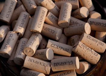 Vinícola Guaspari – do café à uva.