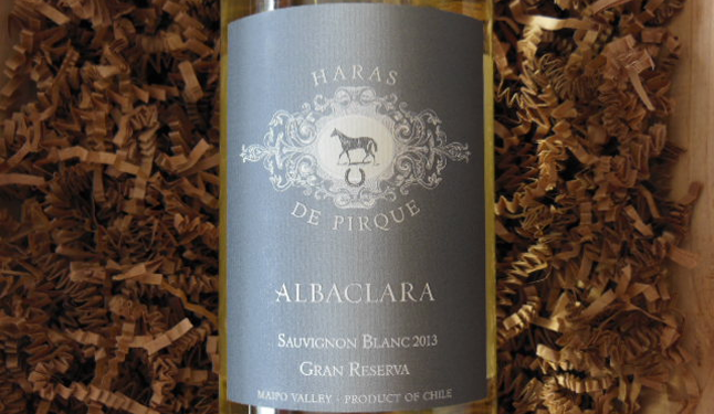 Haras de Pirque, unindo duas paixões, criação de cavalos puro sangue e a produção de vinho finos