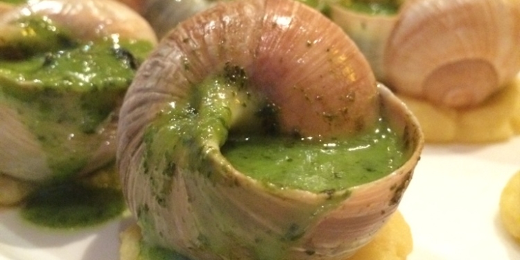 Le Montrachet: experiência única na Borgonha