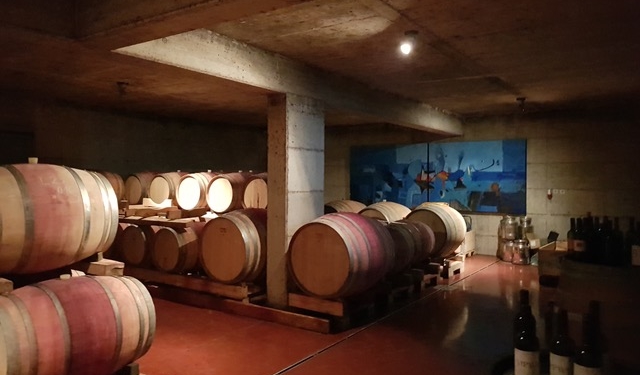 Dobrodošli v Vipavski dolini! Bem-vindos ao Vale de Vipava!