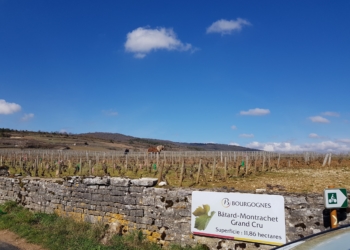 Brilhante novidade para enoturistas