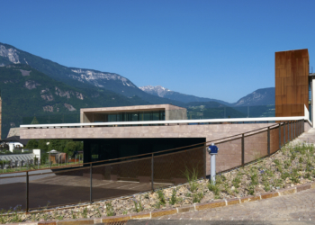 Raro despertar dos 5 sentidos