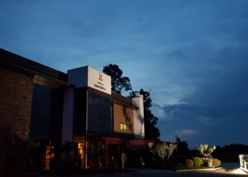 Admirável Vinho Novo Nacional pt2