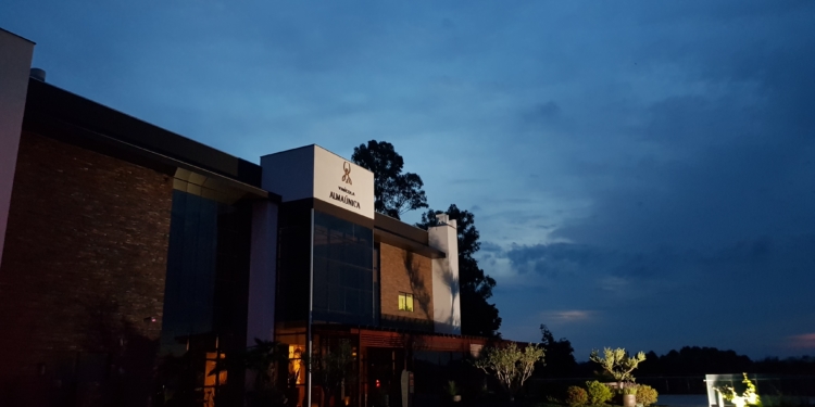 Admirável Vinho Novo Nacional pt2