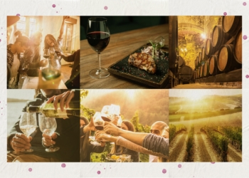 Vinho ETC | Explore os seus sentidos