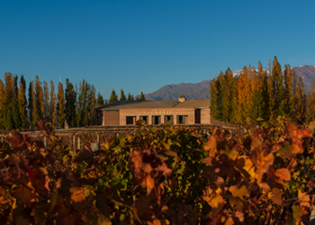 Vinícolas: 5 bodegas imperdíveis em Mendoza