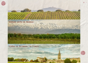 Enoturismo | 3 lugares que você precisa conhecer