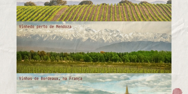 Enoturismo | 3 lugares que você precisa conhecer