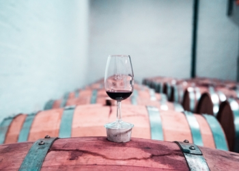 Wine South America | Maior Feira de Vinhos da América Latina