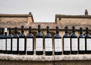 A INCRÍVEL REGIÃO DE CASTELNUOVO BERARDENGA NA TOSCANA E SEUS VINHOS ESPETACULARES