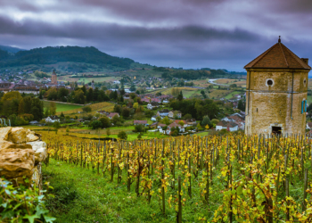 Descobrindo os vinhos do Jura