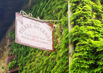 Maison Overnoy-Houillon: ícone dos vinhos naturais