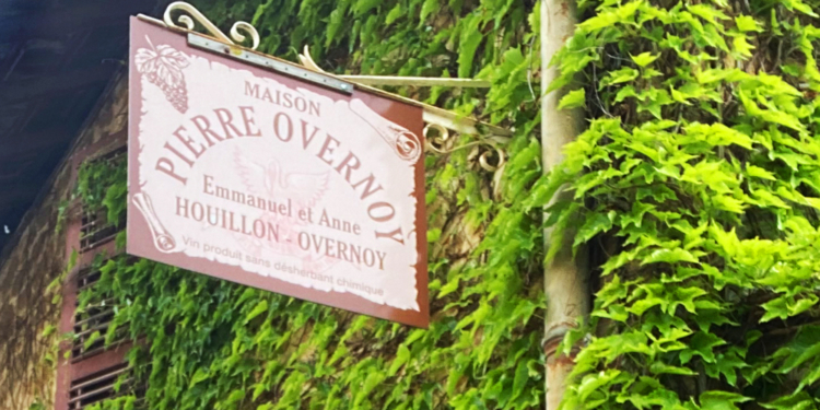 Maison Overnoy-Houillon: ícone dos vinhos naturais