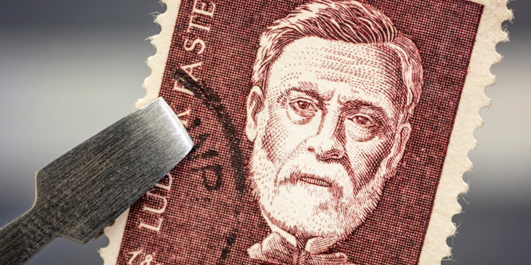 Louis Pasteur e o vinho