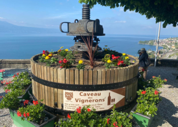 FET EPESSES NOUVEAU, O INCRÍVEL FESTIVAL ANUAL DE VINHOS DE LAVAUX