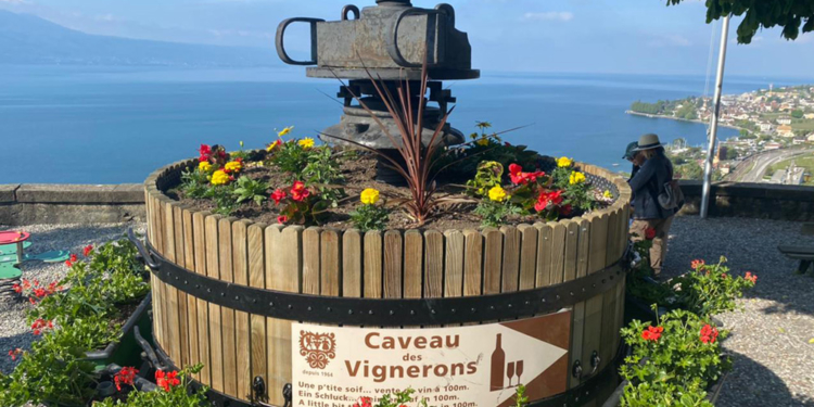 FET EPESSES NOUVEAU, O INCRÍVEL FESTIVAL ANUAL DE VINHOS DE LAVAUX