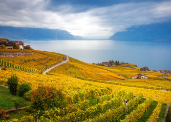 LAVAUX, UMA DAS REGIÕES VINÍCOLAS MAIS BONITAS DO MUNDO