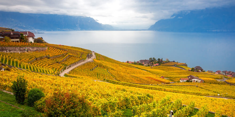 LAVAUX, UMA DAS REGIÕES VINÍCOLAS MAIS BONITAS DO MUNDO