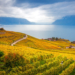 LAVAUX, UMA DAS REGIÕES VINÍCOLAS MAIS BONITAS DO MUNDO