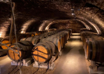 PATRIARCHE: 3 MILHÕES DE GARRAFAS DE VINHO NAS GALERIAS SUBTERRÂNEAS DE BEAUNE