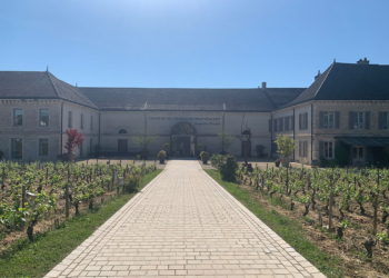 DESCUBRA OS ENCANTOS DO ENOTURIMO NA BORGONHA: O MEMORÁVEL DOMAINES FAMILLE PICARD