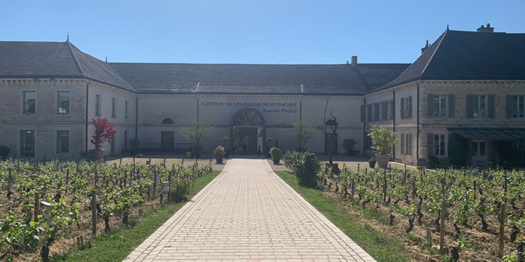 DESCUBRA OS ENCANTOS DO ENOTURIMO NA BORGONHA: O MEMORÁVEL DOMAINES FAMILLE PICARD