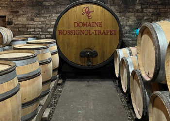 UMA VISITA PARA GUARDAR NA MEMÓRIA