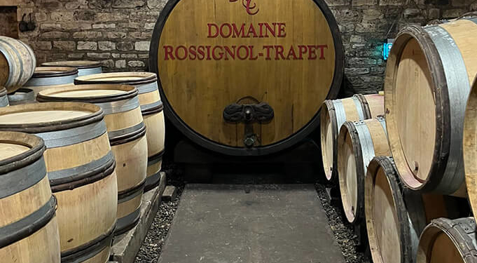 UMA VISITA PARA GUARDAR NA MEMÓRIA