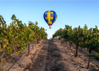 DESCUBRA TEMECULA VALLEY – ESPETACULAR REGIÃO VINÍCOLA NO SUL DA CALIFÓRNIA