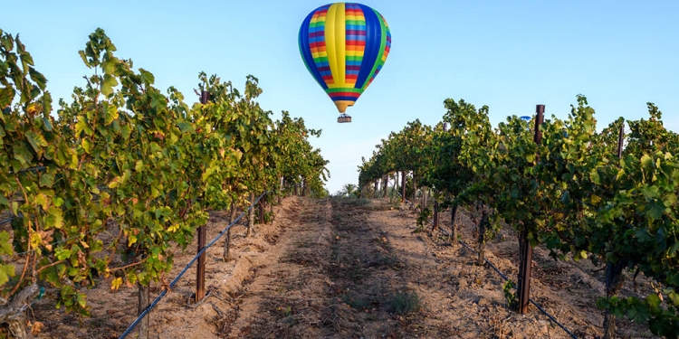 DESCUBRA TEMECULA VALLEY – ESPETACULAR REGIÃO VINÍCOLA NO SUL DA CALIFÓRNIA