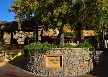 VOCÊ SABIA QUE EXISTE UMA VINÍCOLA DENTRO DO DISNEY ADVENTURE PARK NA CALIFÓRNIA?