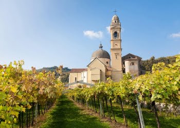 VALPOLICELLA: SAIBA TUDO SOBRE ESSA FAMOSA REGIÃO E SEUS RENOMADOS VINHOS