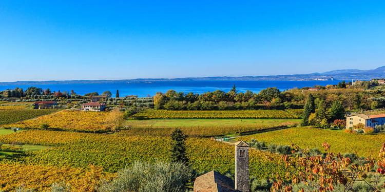 BARDOLINO: PARAÍSO DO ENOTURISMO! ONDE O VINHO E A BELEZA SE ENCONTRAM NO CORAÇÃO DA ITÁLIA