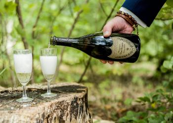 CHAMPANHE VS. PROSECCO: ENTENDENDO AS DIFERENÇAS ESSENCIAIS